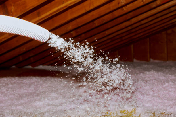 Best Eco-Friendly Insulation in Lakeland, FL