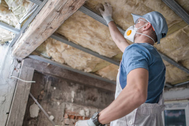 Best Spray Foam Insulation in Lakeland, FL