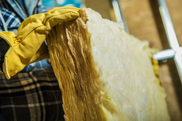 Best Geographic-Specific Insulation Services in Lakeland, FL